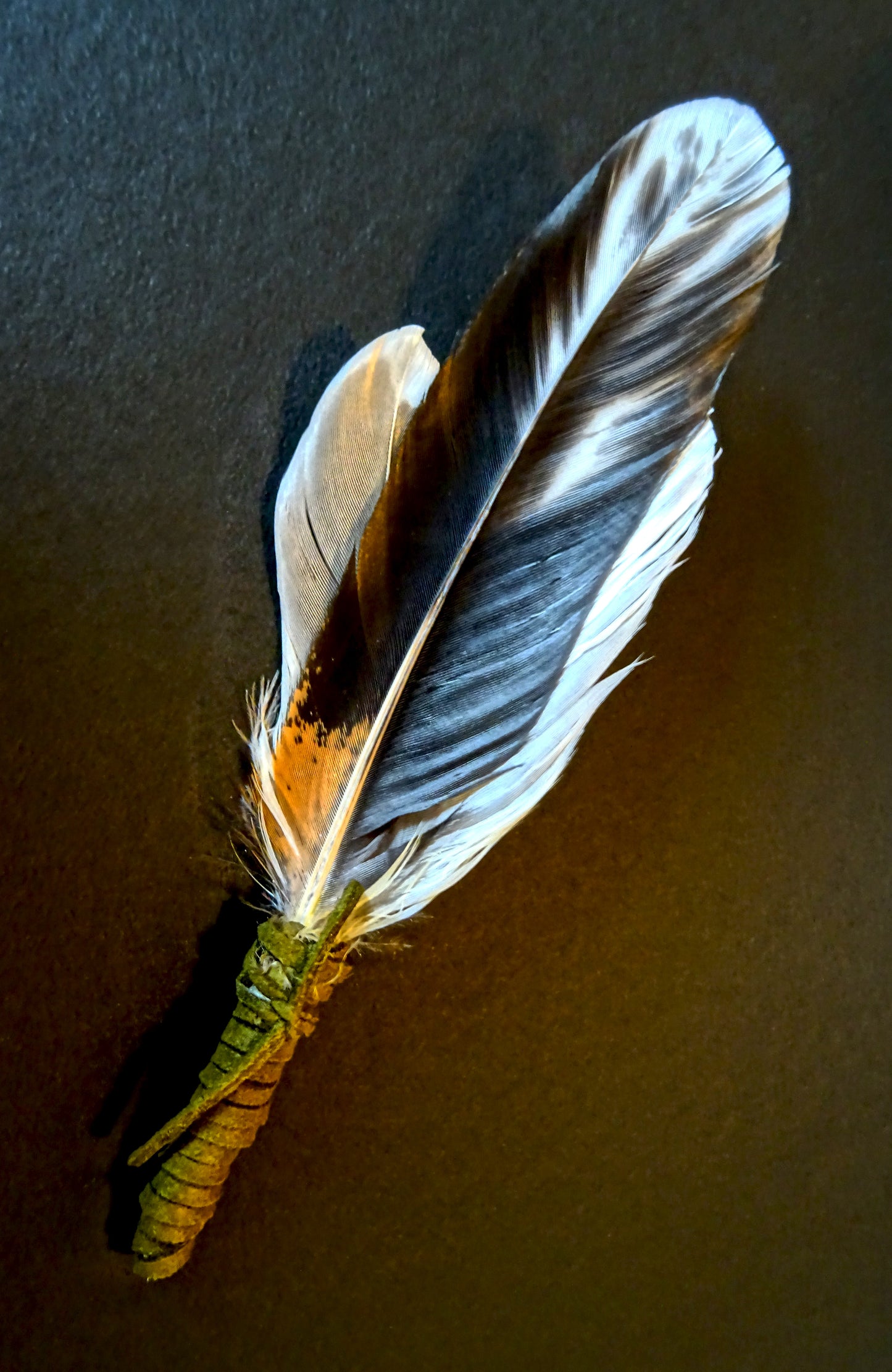 small sacred smudging fan, natural feathers