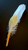 small sacred smudging fan, natural feathers